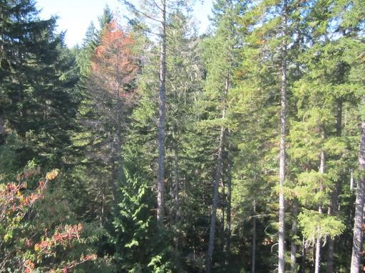 60 E Country Club Drive East - Photo 2 of 12