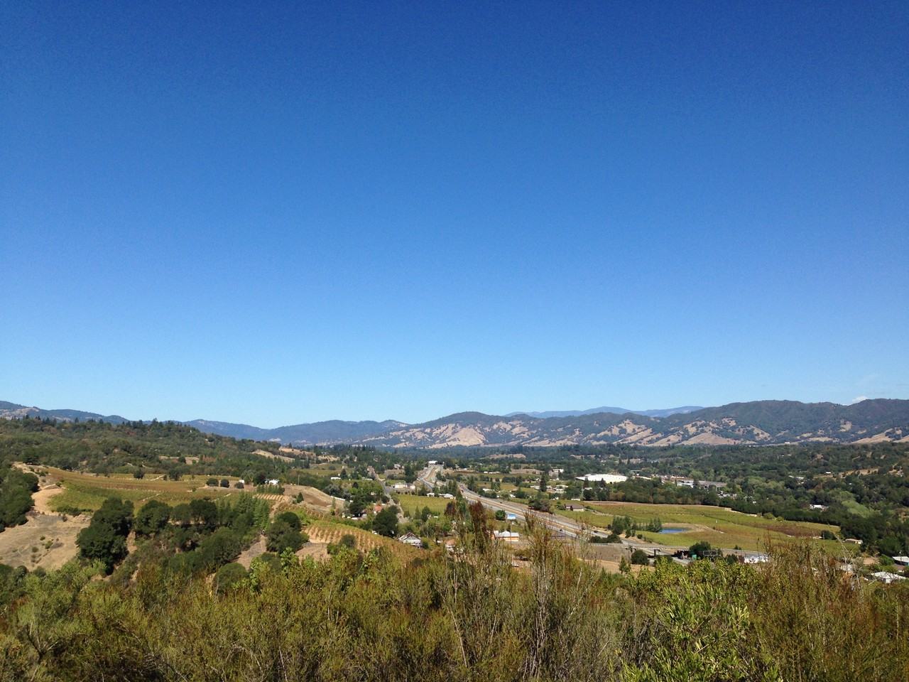 725 Gold Gulch Rd - Photo 2 of 10