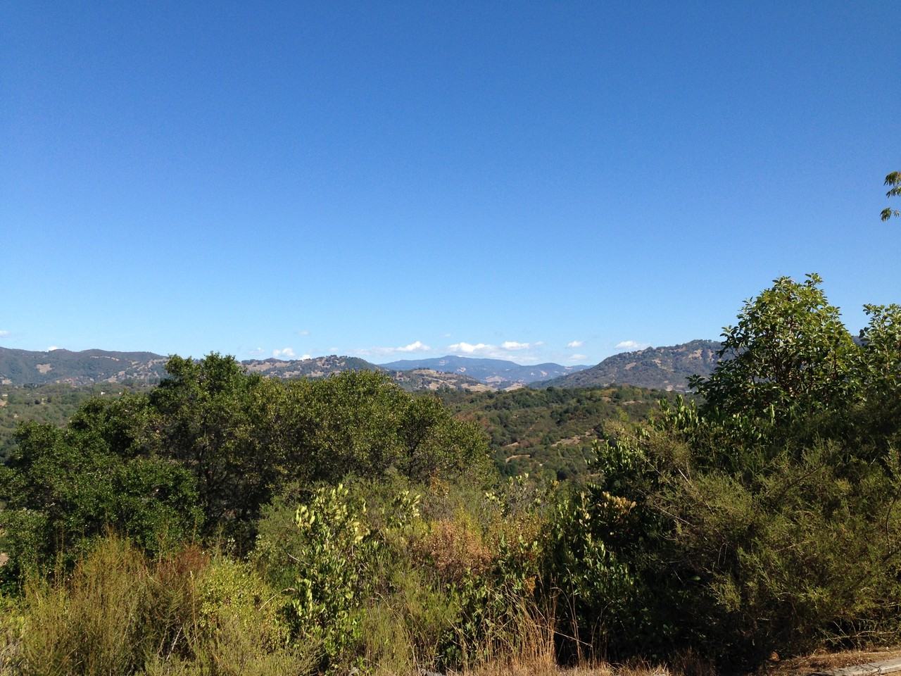 725 Gold Gulch Rd - Photo 3 of 10