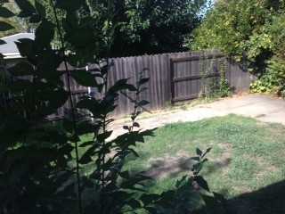 4934 Ortega St - Photo 2 of 8