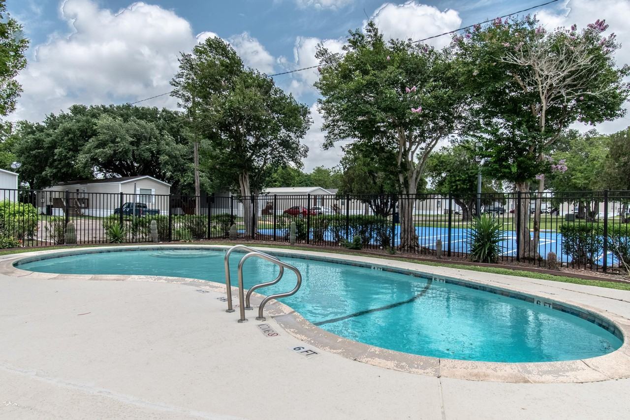 Seamist - Photo 2 of 7