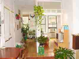 featured image of Mercer St & Prince St