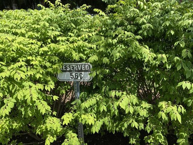 1156 Osterman Ave #C - Photo 3 of 17