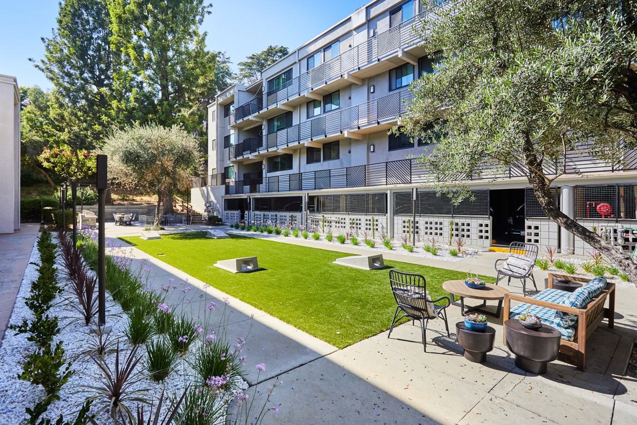 Milo on Morton - Photo 3 of 16