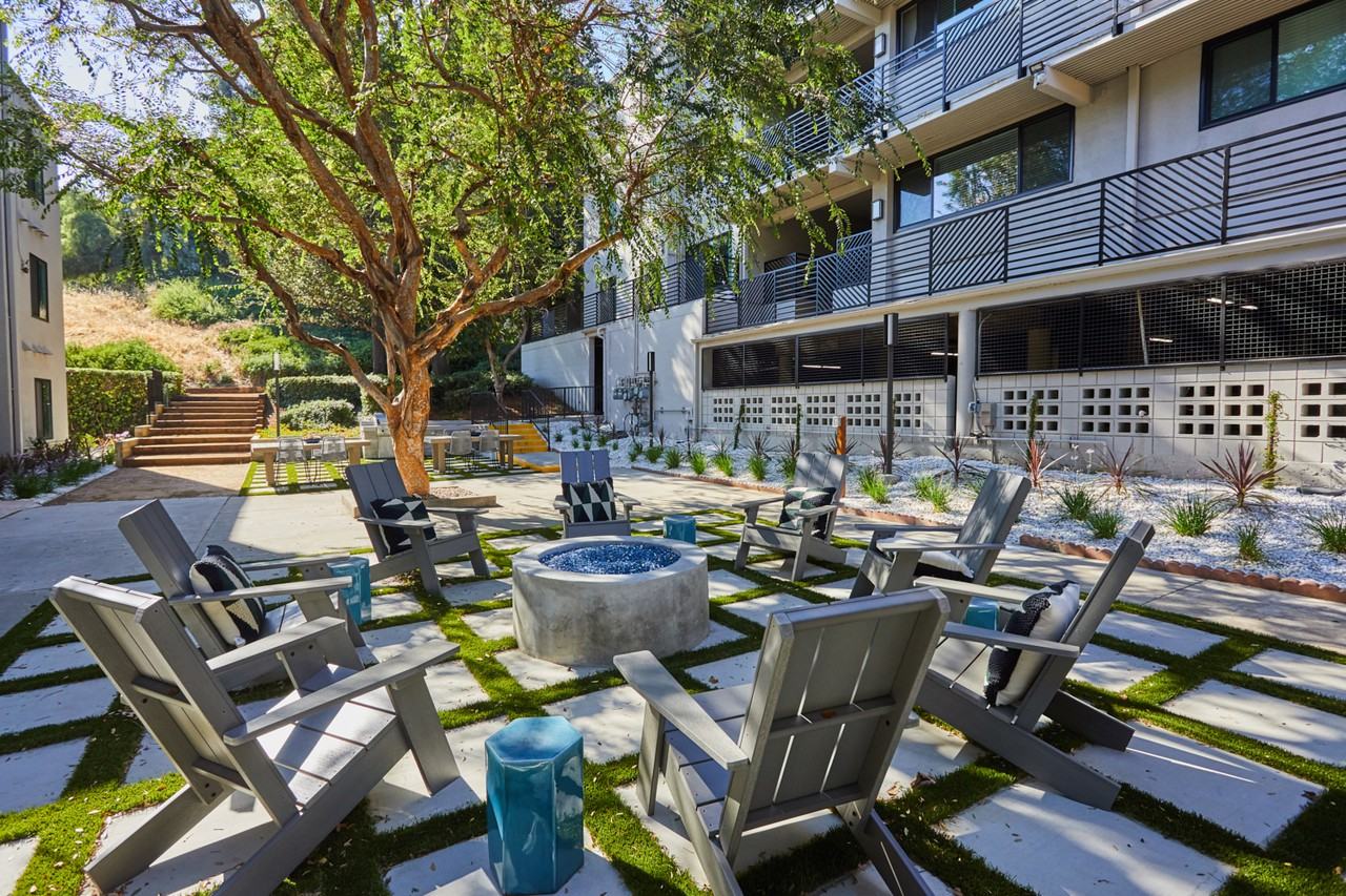 Milo on Morton - Photo 5 of 16