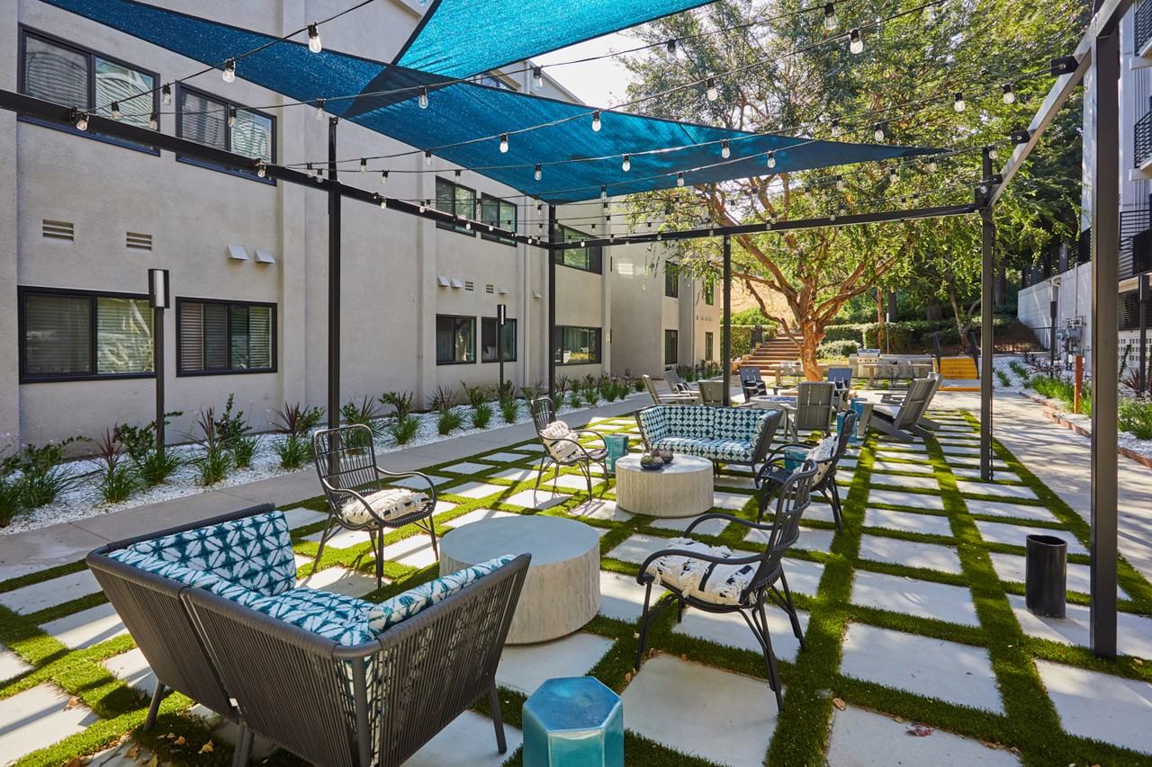 Milo on Morton - Photo 6 of 16