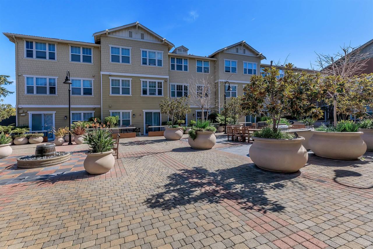 Oak Walk - Photo 7 of 50