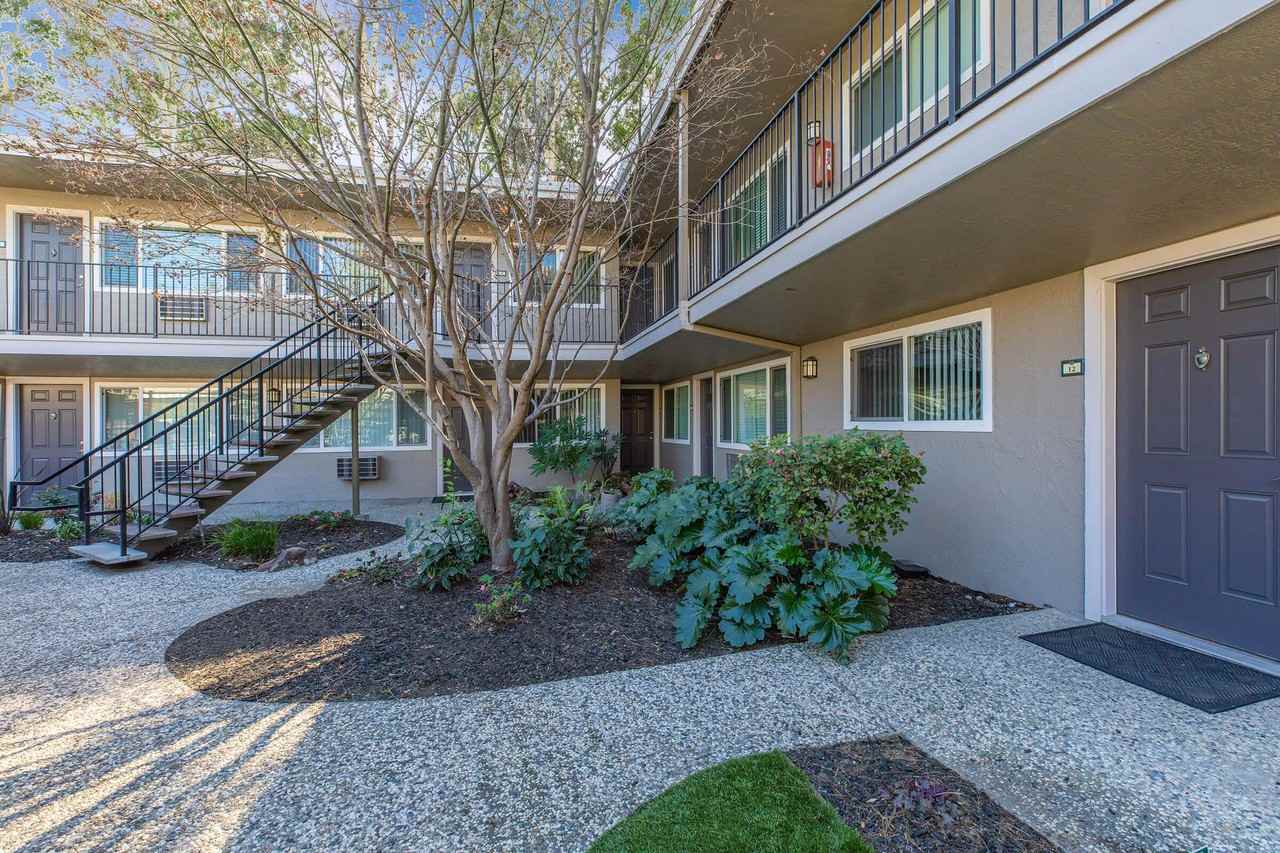 Park Lafayette - Photo 3 of 50