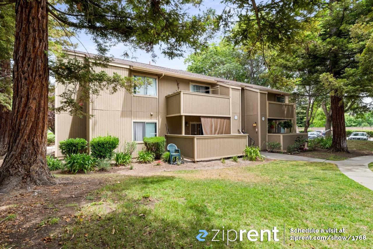 3439 Foxtail Ter - Photo 3 of 15