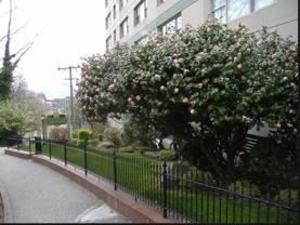 Queensborough and The Leonard - Photo 1 of 1