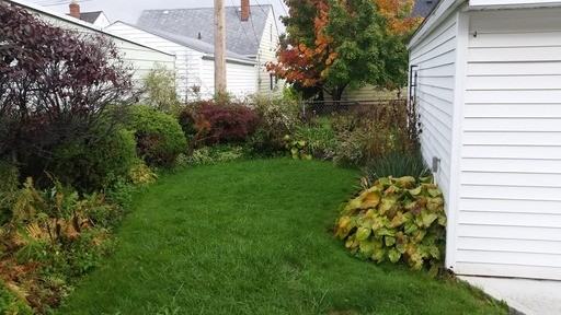 7522 Ira Ave - Photo 3 of 20