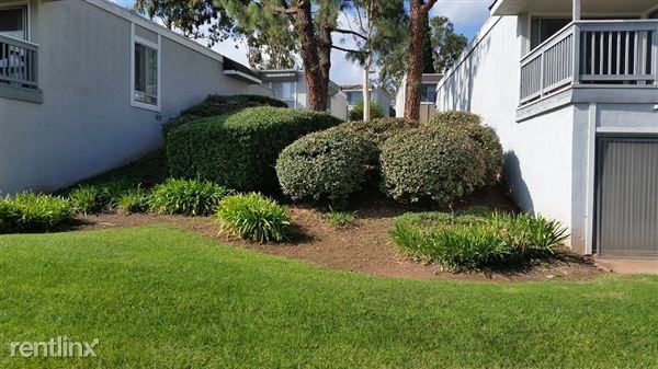 23405 Caminito Juanico - Photo 3 of 9