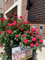 511 Jackson Street #501 - Photo 1 of 1