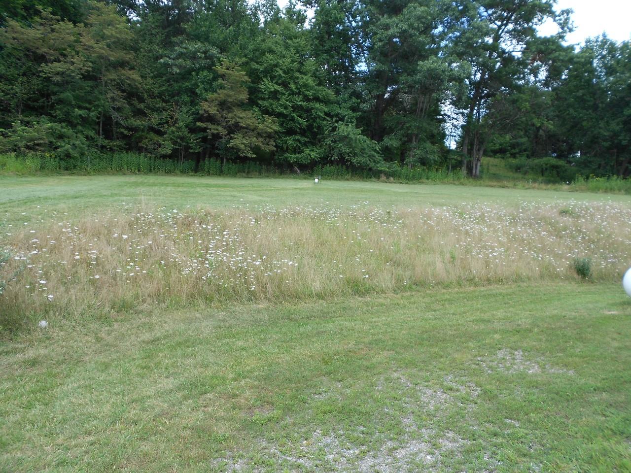 956 Sowers Mill Dam Rd NE - Photo 3 of 109