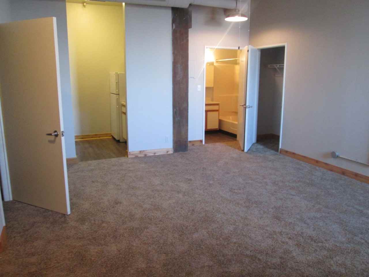 213 Delaware Street #509