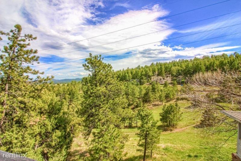 25833 Centennial Trl - Photo 3 of 19