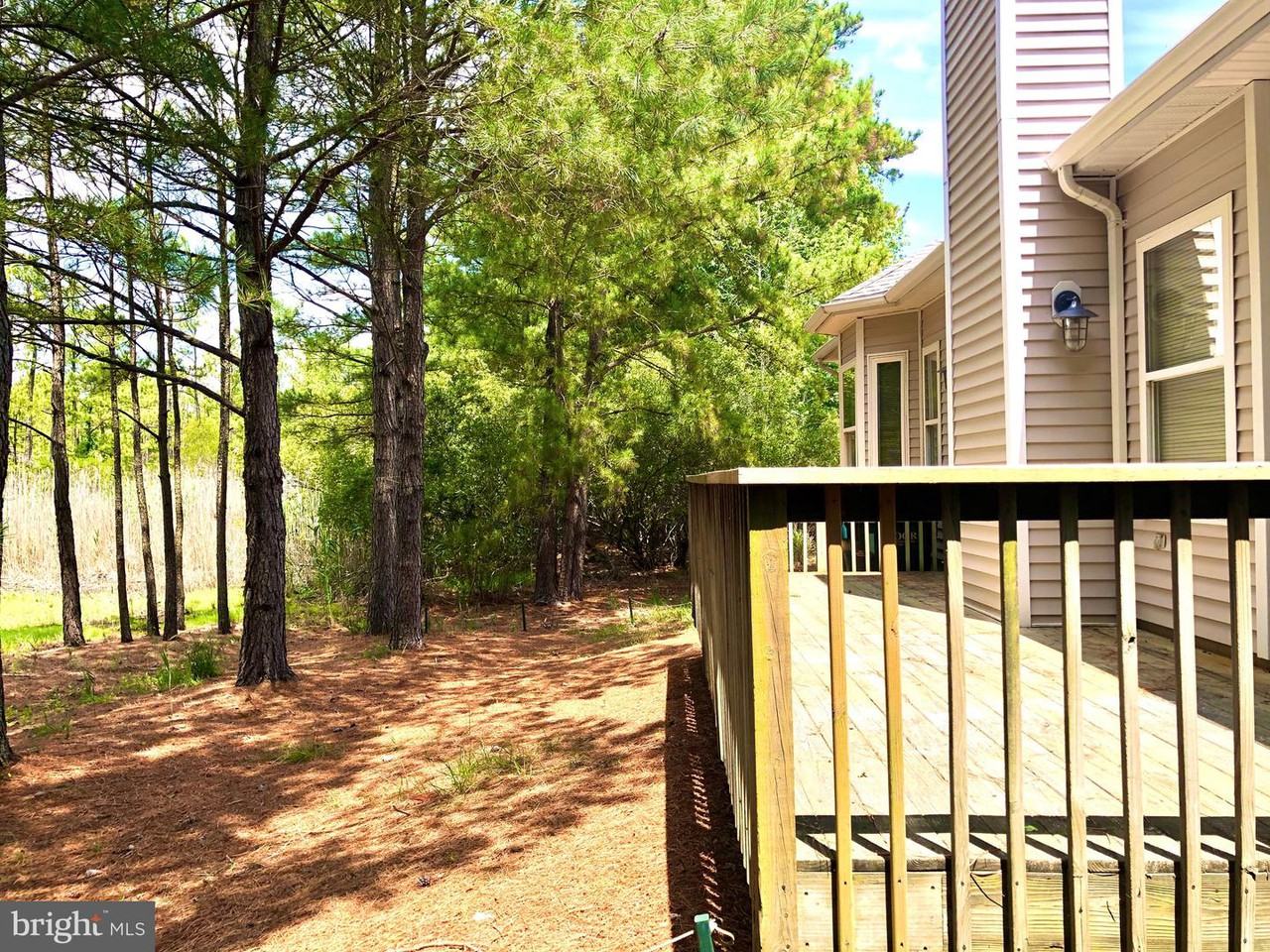 37276 Fox Dr Unit 63 - Photo 3 of 23