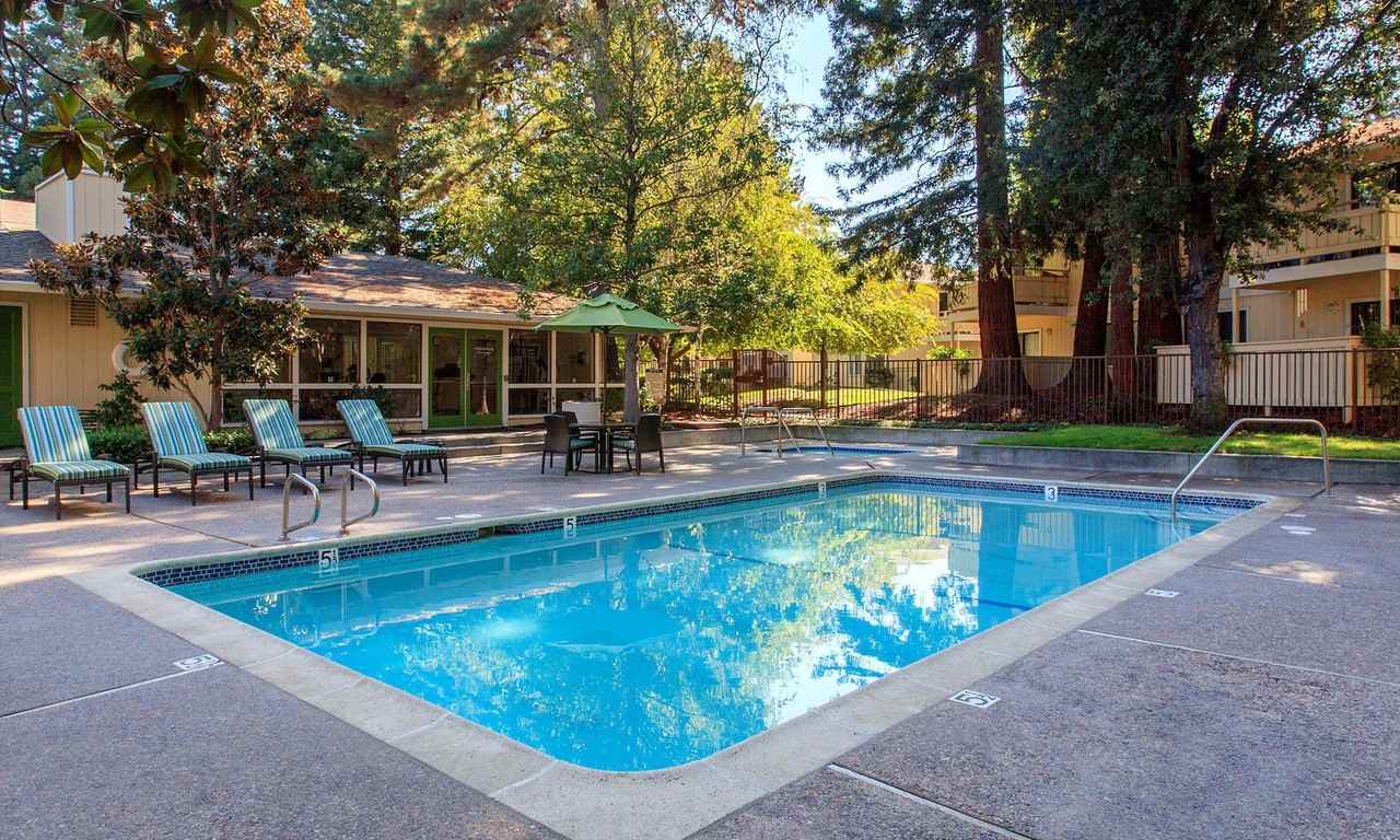 Central Park - Photo 4 of 19