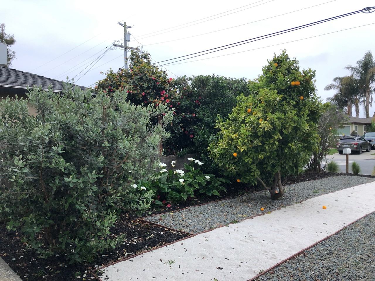 820 Columbia Street - Photo 3 of 23