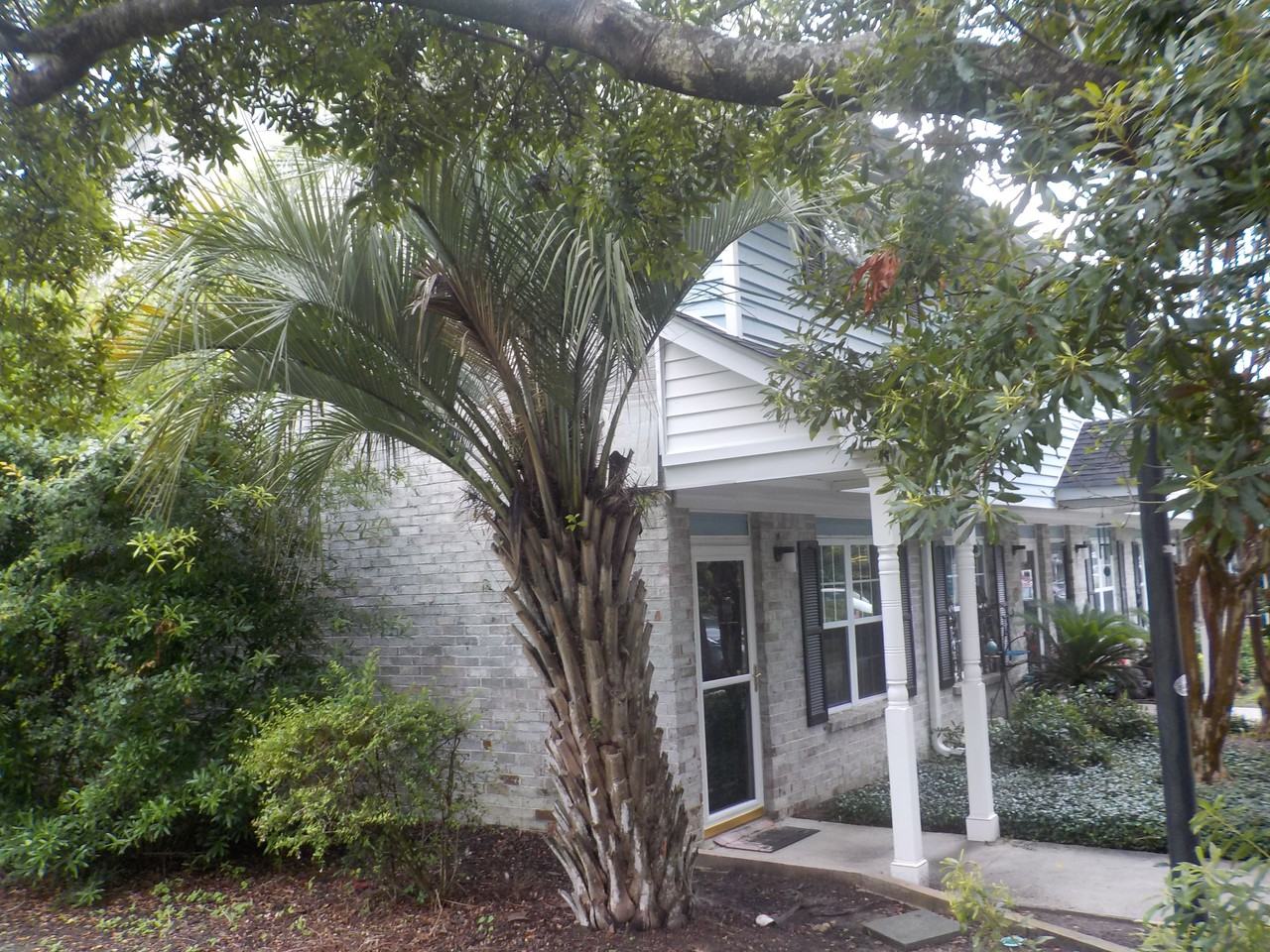 507 Stinson Drive #A1 - Photo 2 of 28