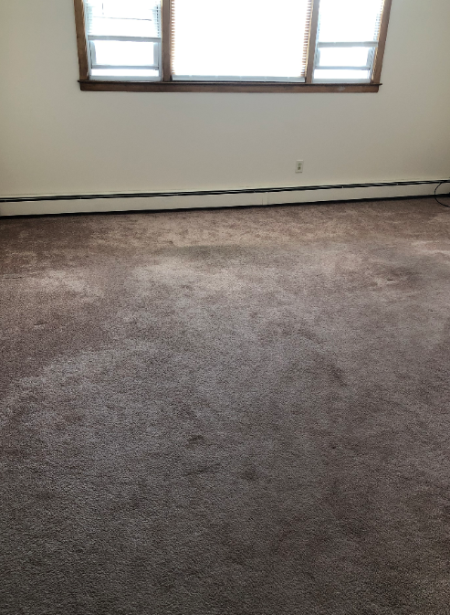 435 N Taylor Ave - Photo 3 of 7