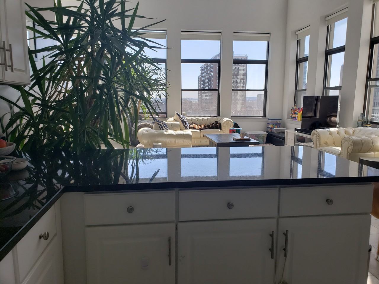 142-144 STEUBEN STREET - Photo 2 of 10