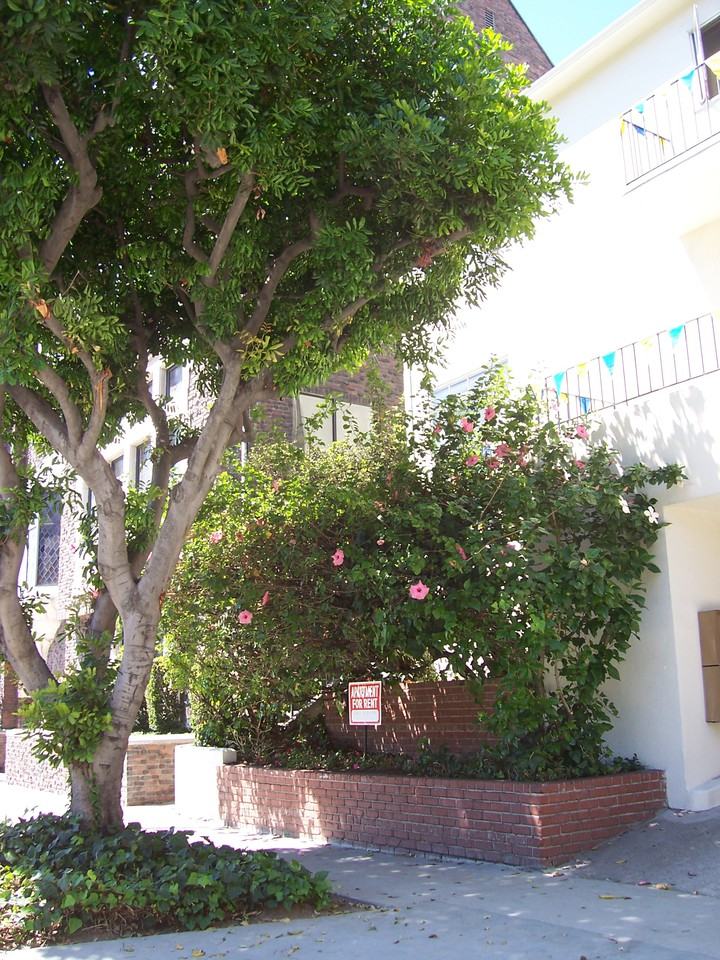 Gayley Manor Apartments - Photo 2 of 2