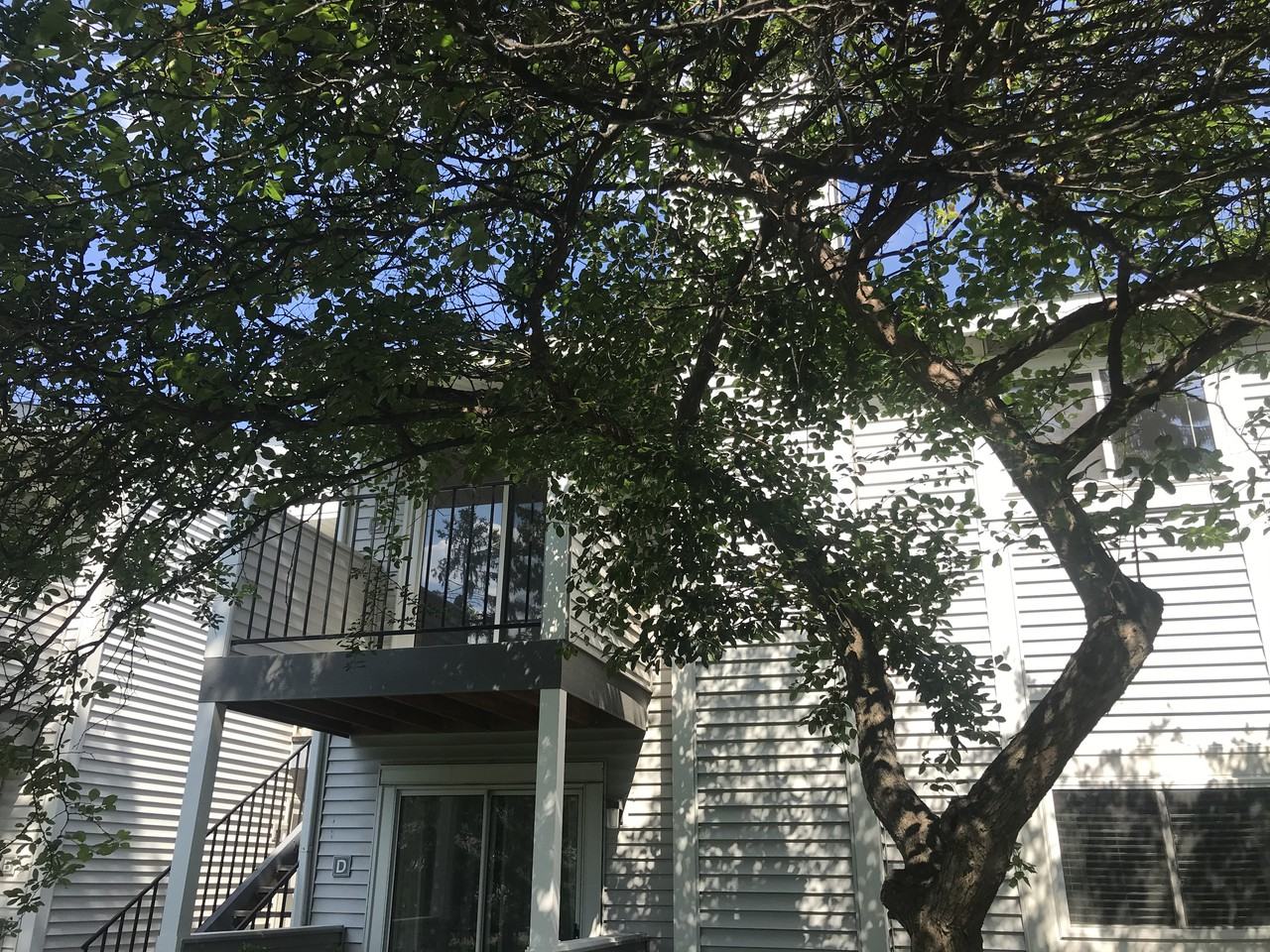 1696 Pleasant St #C - Photo 3 of 26