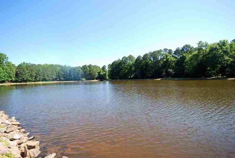 313 Glen Echo Ln #D - Photo 2 of 30