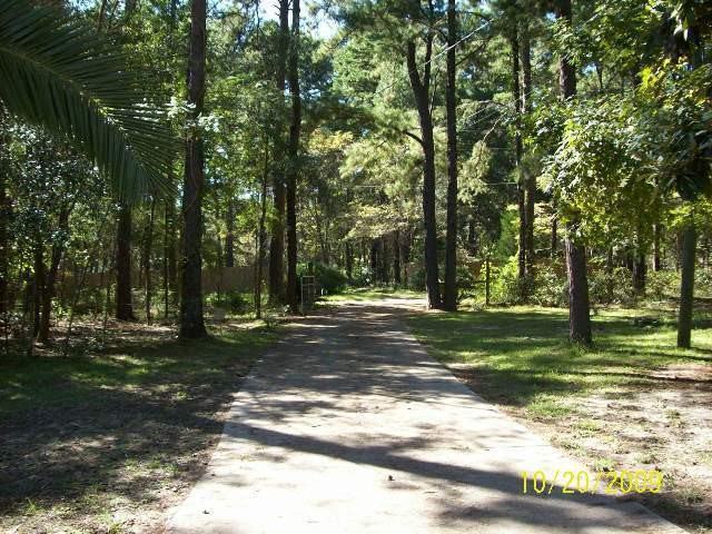 6823 Seabiscuit Trl - Photo 2 of 20