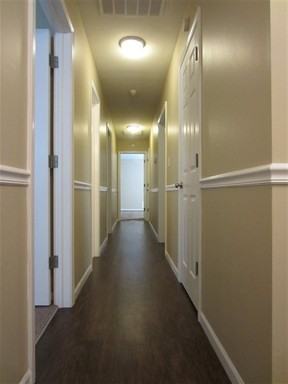 5313 Leone Dr - Photo 3 of 18