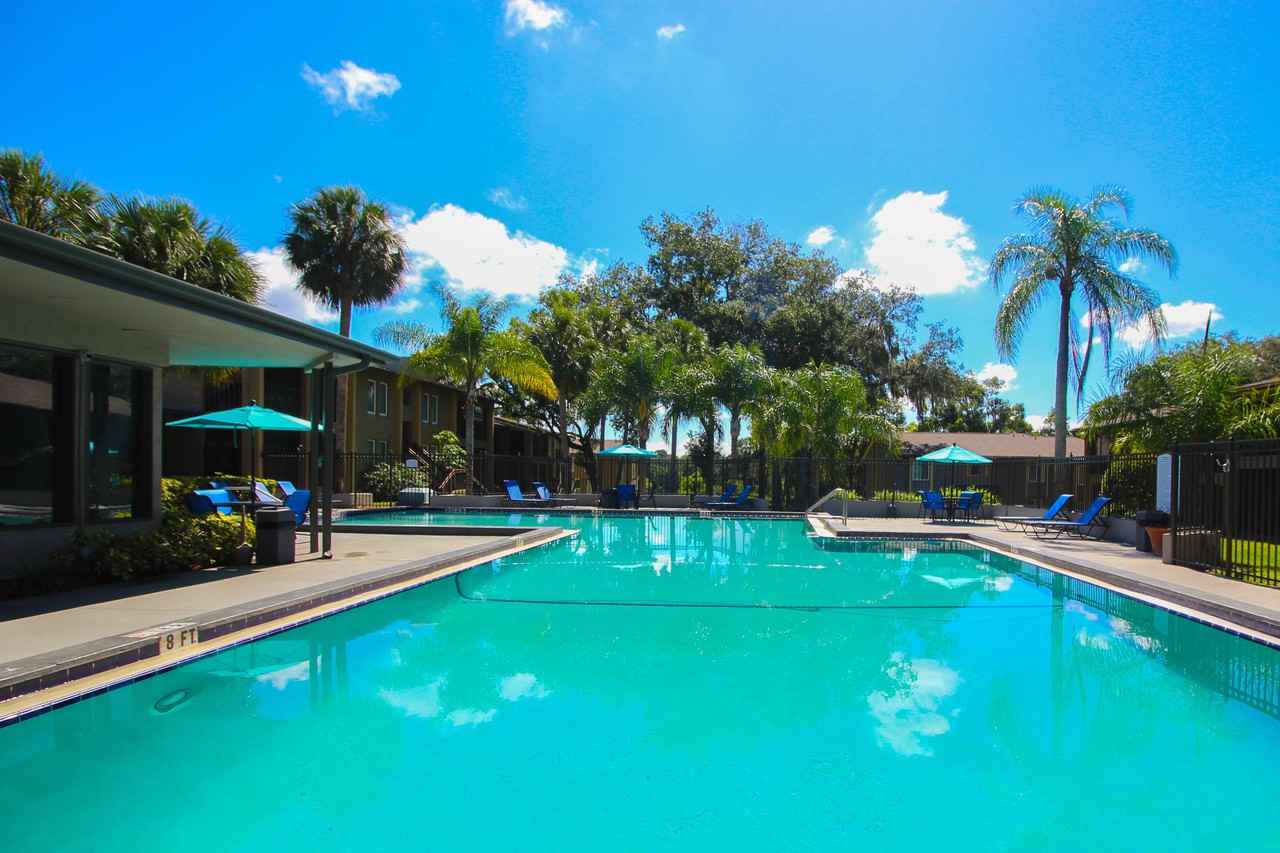 River View Apartments 5659 Del Prado Dr, Tampa, FL 33617 with 4 Floorplans Zumper