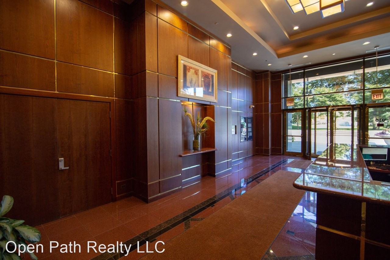 910 S Michigan - Photo 2 of 20