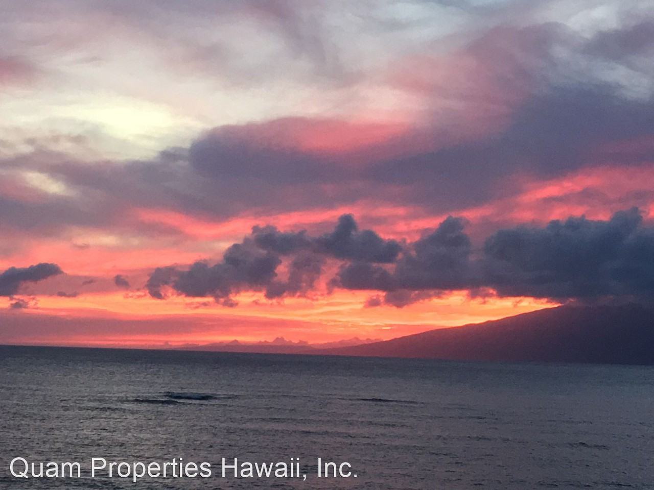 319 Kamano Pl - Photo 3 of 19