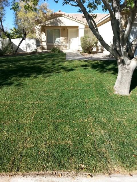 Badlands Ln & Jacksboro Dr - Photo 2 of 8