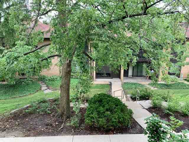 6151 Knoll Wood Rd #207 - Photo 2 of 12