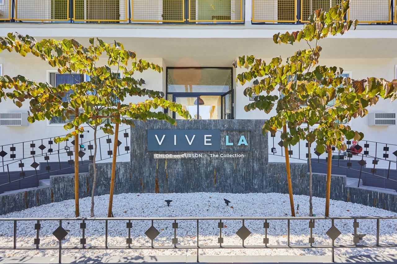 Chloe on Curson - Photo 2 of 31