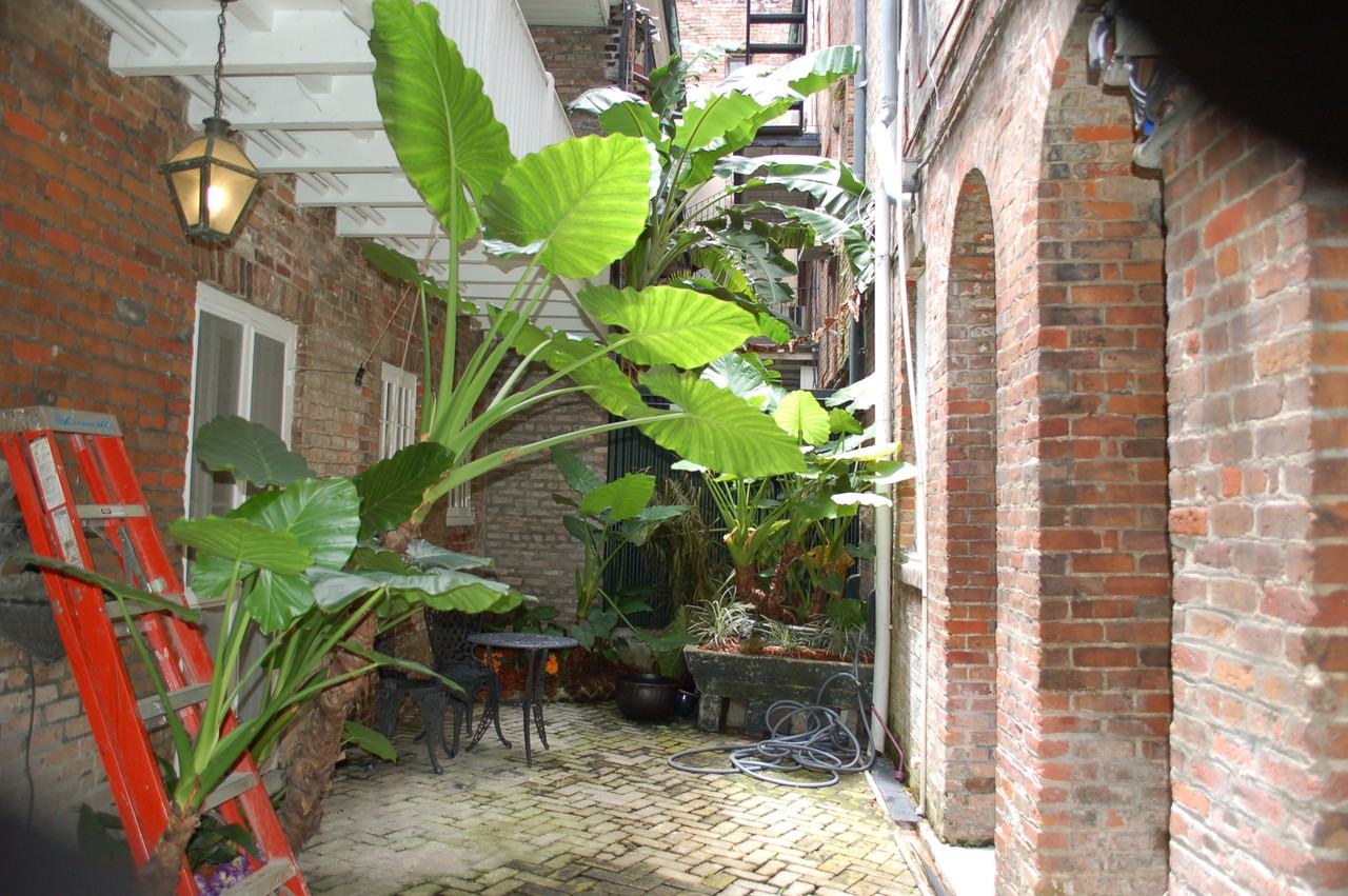 514 Madison Street - Photo 3 of 4