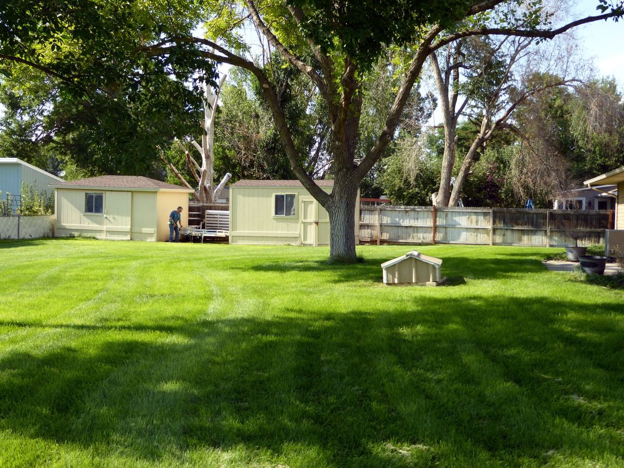 813 Sherry Dr - Photo 2 of 14