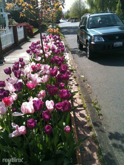 309 W 29th St - Photo 2 of 9