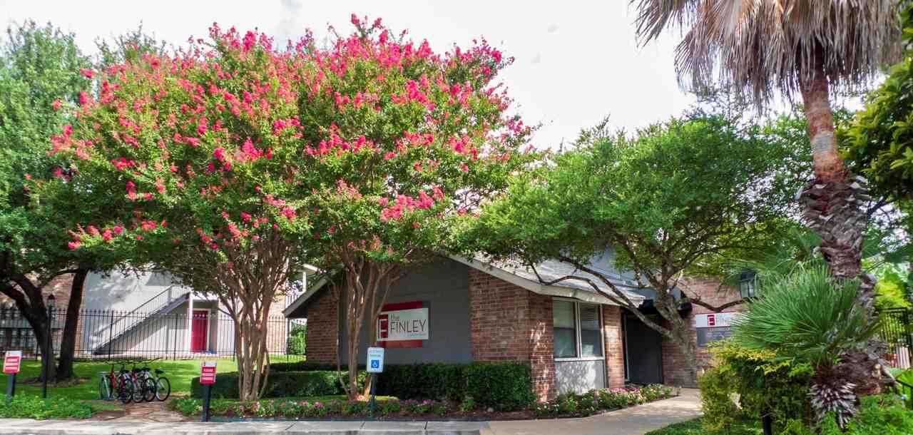 The Finley - Photo 2 of 31