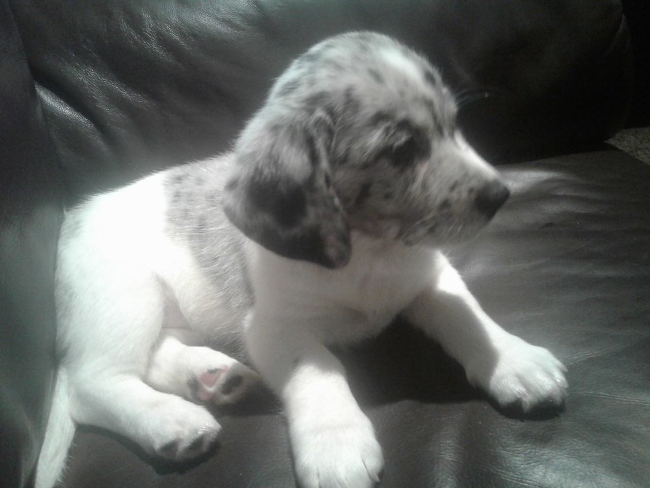 27 Dundegan Drive - Photo 2 of 2