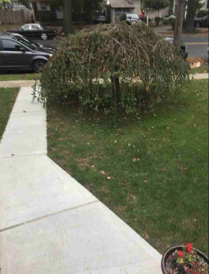 477 Tysens Lane #2 - Photo 2 of 9