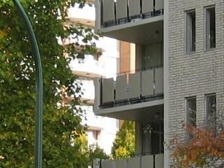 Dorset Place - Photo 3 of 6