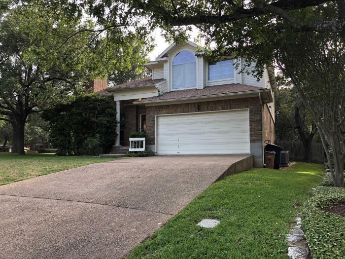 Cat Tail Cv - Photo 2 of 15