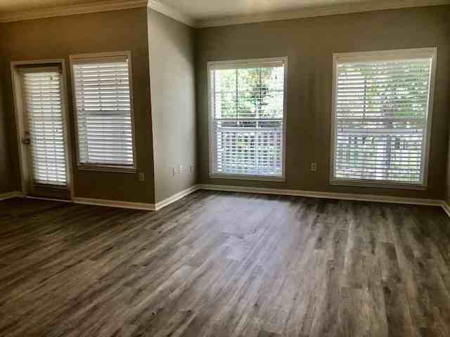 599 Campus St - Photo 3 of 23