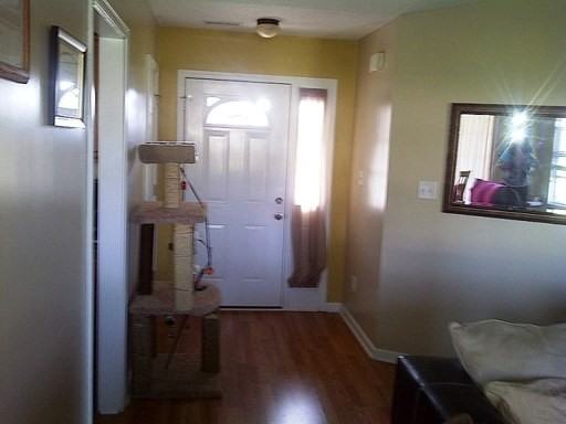 313 Haywood Dr - Photo 3 of 9