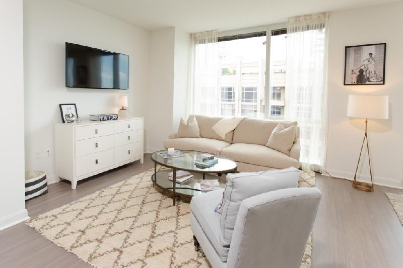 N Lake Shore Dr #1052