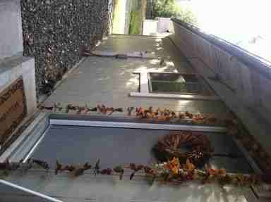 1002 Valerie Ct - Photo 3 of 12