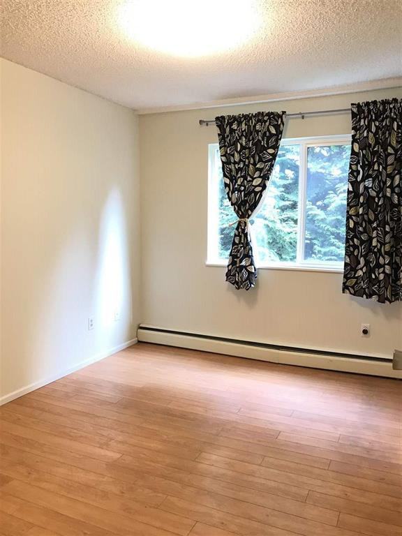 7240 Lindsay Road #204 - Photo 5 of 13